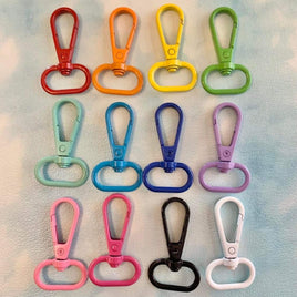 Colored Snap Clips
