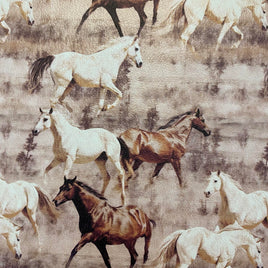 Brown and White Horses