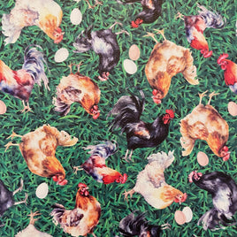 Chickens on Grass