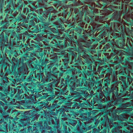 Grass (Matches Chickens on Grass)