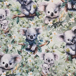 Koalas