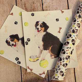 Panel Pack Bernese Mountain Dog