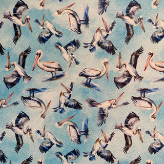 Pelicans