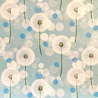 White Dandelions