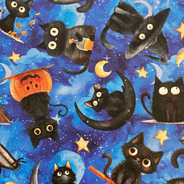 Halloween Black Cats in Space