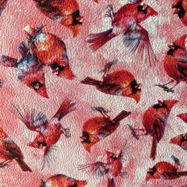 Cardinals on Light Red