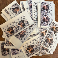 100 4x4 Black and White Highland Cow