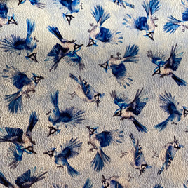 Blue Jays on Light Blue