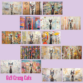 zipper bag panels NEW STYLE Crazy Cats 6x9 Jumbo