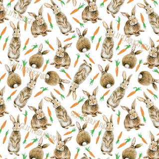 Bunny on White
