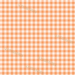 Gingham Plaid Orange