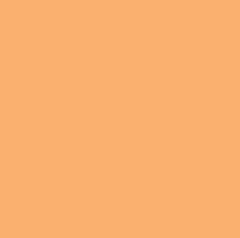 Blue-ee Dog's friend Bingo Light Orange