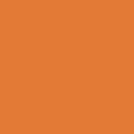 Blue-ee Dog's friend Bingo Dark Orange