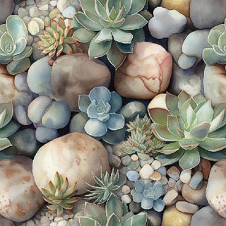 Cactus in Rocks