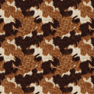 Calico Cat
