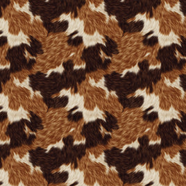 Calico Cat