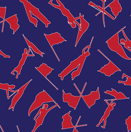 Color Guard Red on Navy