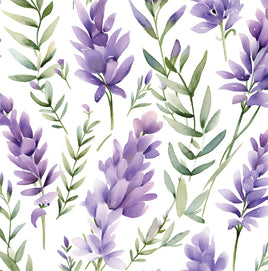 Lavender on White