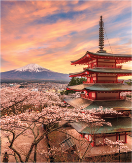 Printed Vinyl Panel 8.5x10.5 Japan Mt Fuji and Pagoda