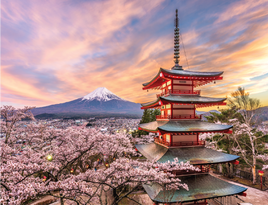 Tote Panel Mt Fuji and Pagoda