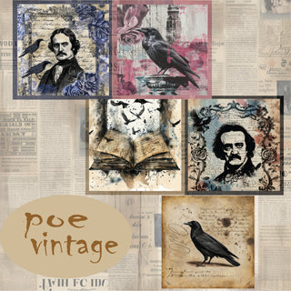 zipper bag panels Poe Vintage