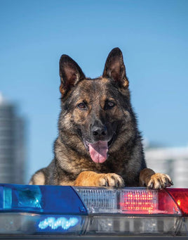 Printed Vinyl Panel 8.5x10.5 Police Dog