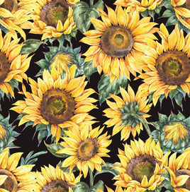 Sunflowers on Black
