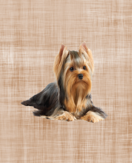 Printed Vinyl Panel 8.5x10.5 Yorkie (matches stacked Yorkies)