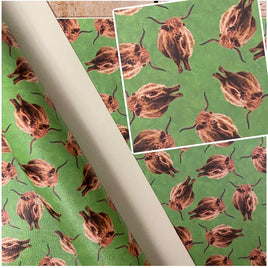 Highland Cow on Grass