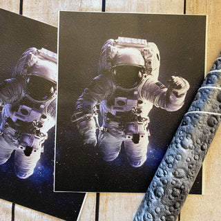 Panel Pack Astronaut