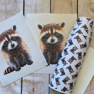 Panel Pack Raccoon
