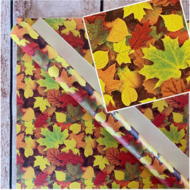 Autumn Leaves Colorful