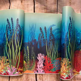 Coral Reef Border