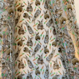 Clear Bunny and carrots TPU