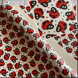 Ladybugs on White