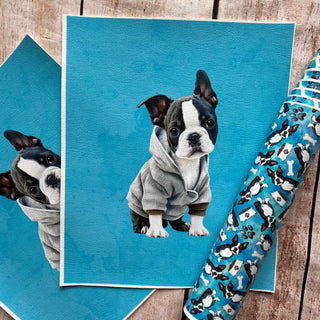 Panel Pack Boston Terrier