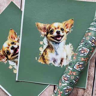 Panel Pack Chihuahua