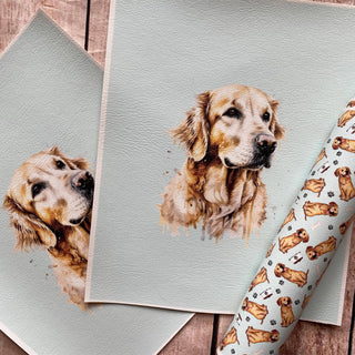 Panel Pack Golden Retriever