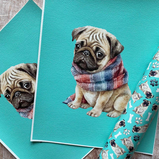 Panel Pack Pug