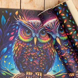Rainbow Owl Panel